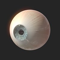 Realistic human phisical eyeball