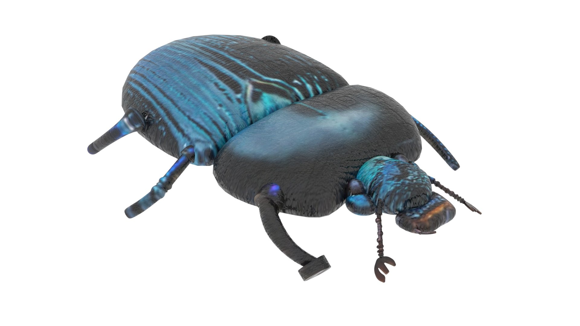 Beetle model https://p.turbosquid.com/ts-thumb/py/CrDHQI/0v/beetlenew14/jpg/1716316391/1920x1080/fit_q87/1d79aef7642a82a098943216cec593eed6c1234c/beetlenew14.jpg