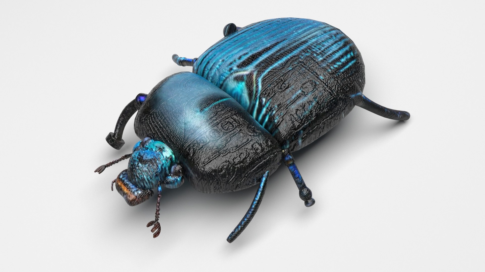 Beetle model https://p.turbosquid.com/ts-thumb/py/CrDHQI/99/beetlenew7/jpg/1716316395/1920x1080/fit_q87/b5066974442e34593d8e29caadaf59646ef14795/beetlenew7.jpg