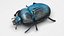 Beetle