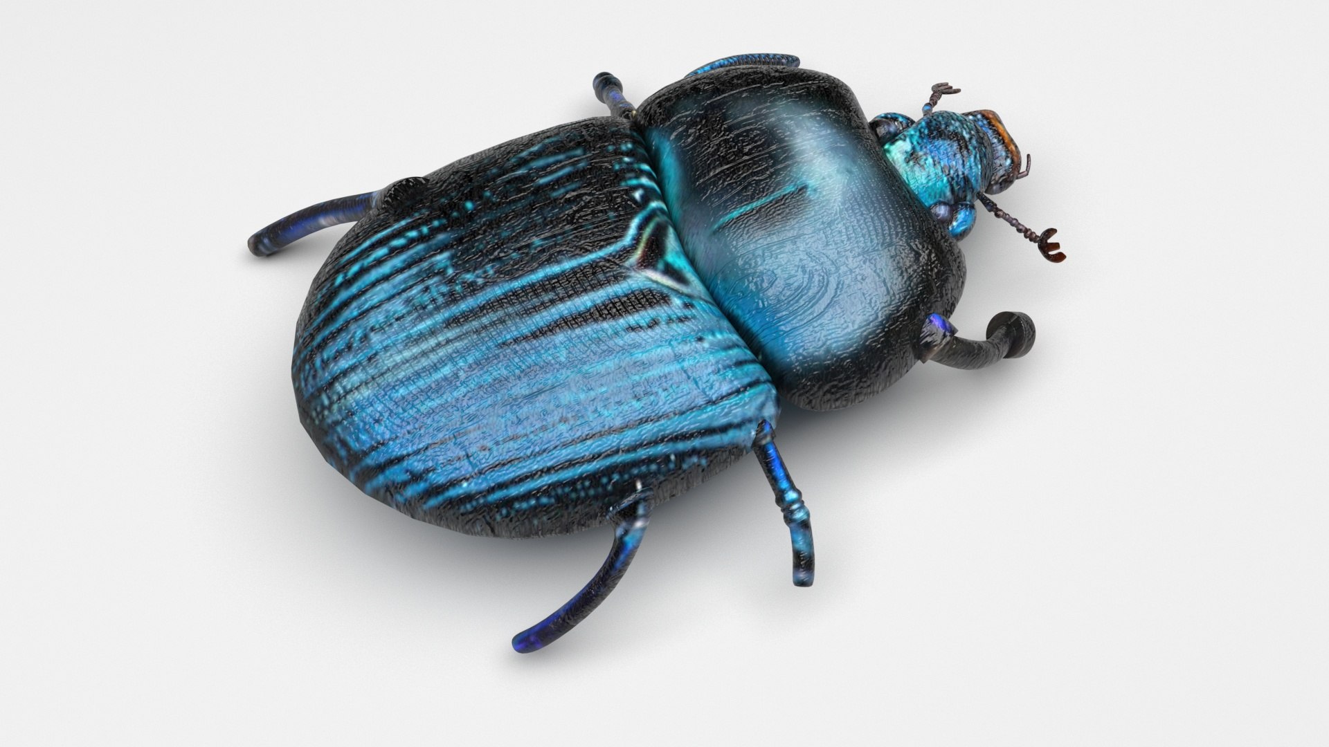 Beetle model https://p.turbosquid.com/ts-thumb/py/CrDHQI/L3/beetlenew3/jpg/1716316398/1920x1080/fit_q87/407438c7b1f1b1b9a66a58c60d66b4cb6f92551f/beetlenew3.jpg