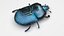 Beetle