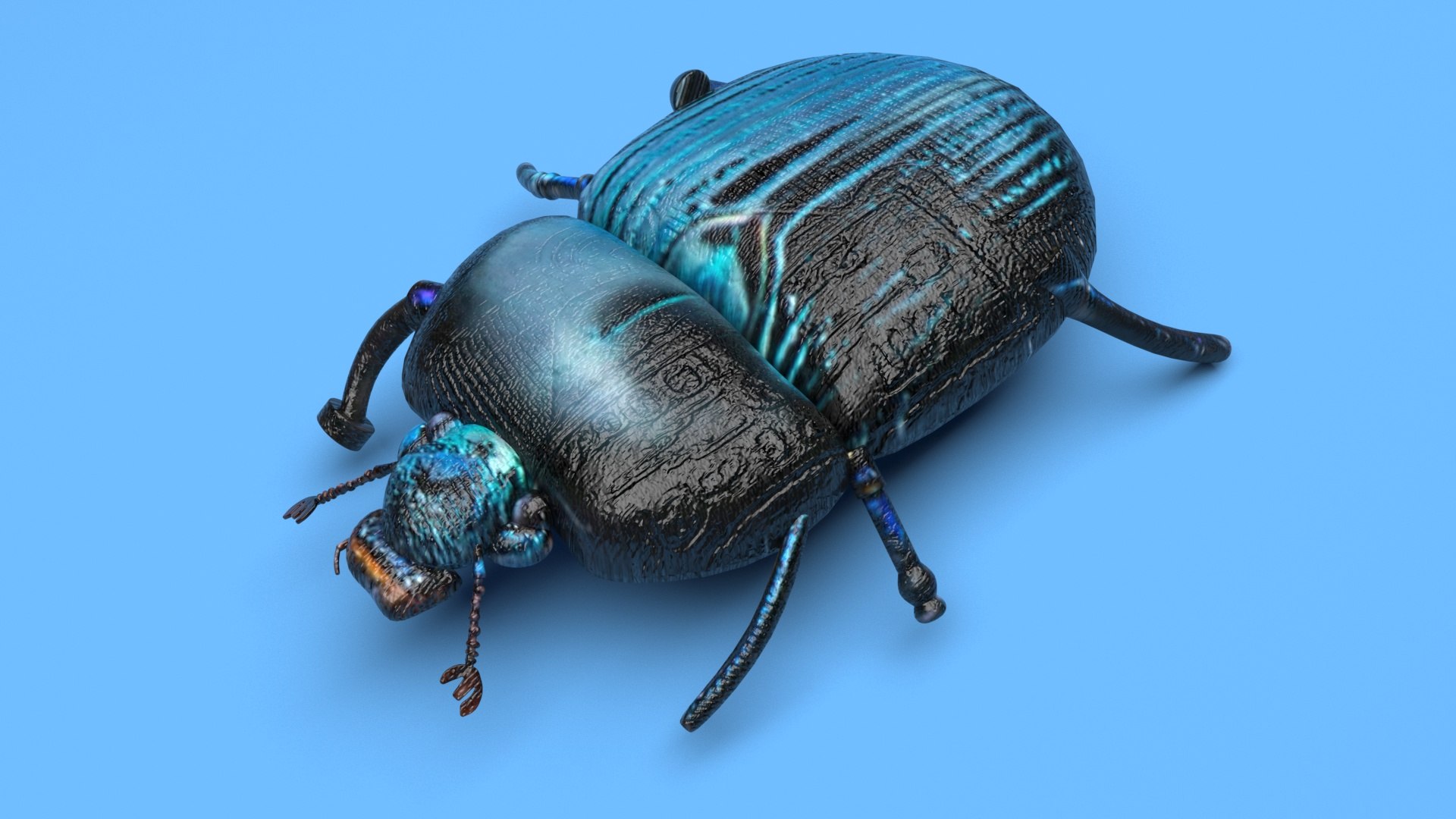 Beetle model https://p.turbosquid.com/ts-thumb/py/CrDHQI/Nx/beetlenew8/jpg/1716316394/1920x1080/fit_q87/d979a826dfff0a6f51141578ba005cf783247ec6/beetlenew8.jpg