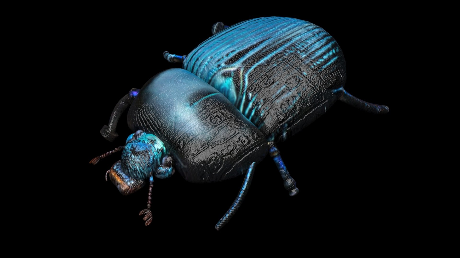 Beetle model https://p.turbosquid.com/ts-thumb/py/CrDHQI/RI/beetlenew9/jpg/1716316394/1920x1080/fit_q87/b702a2610166e90d603ec9846be0c1deecaad131/beetlenew9.jpg