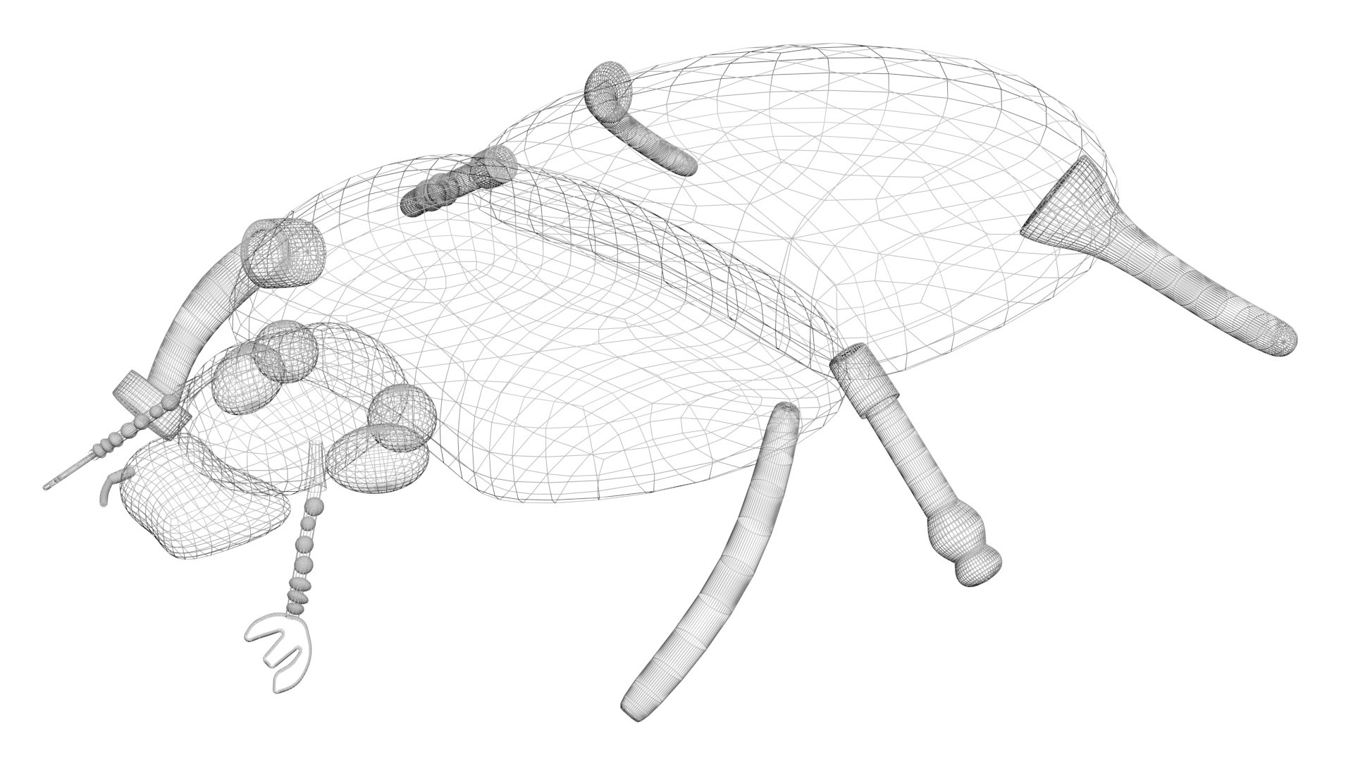 Beetle model https://p.turbosquid.com/ts-thumb/py/CrDHQI/b0/beetlenew22/jpg/1716316387/1920x1080/fit_q87/0fb591734195c03db49db59b00324f2254b538f9/beetlenew22.jpg
