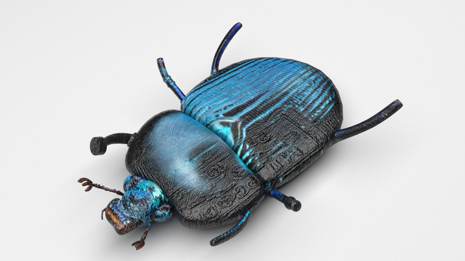 Beetle model https://p.turbosquid.com/ts-thumb/py/CrDHQI/ez/beetlenew6/jpg/1716316397/1920x1080/fit_q87/72e001181ef4719135a59861e4c953f2b8ac190e/beetlenew6.jpg