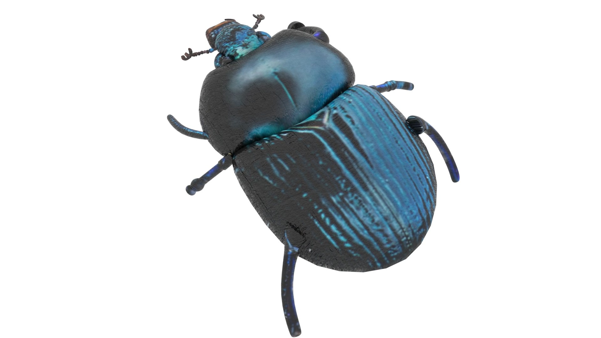Beetle model https://p.turbosquid.com/ts-thumb/py/CrDHQI/q2/beetlenew12/jpg/1716316391/1920x1080/fit_q87/70bae095d902d9f7f607b03d3bf22f1694376f0c/beetlenew12.jpg