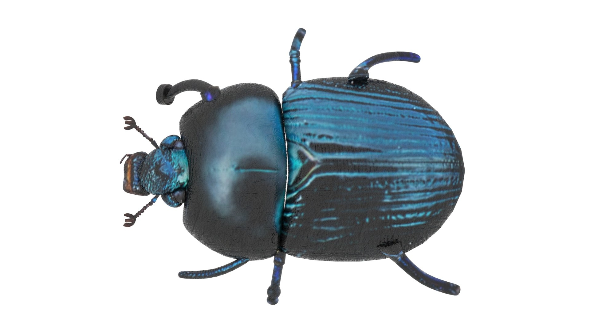 Beetle model https://p.turbosquid.com/ts-thumb/py/CrDHQI/rD/beetlenew16/jpg/1716316389/1920x1080/fit_q87/cae6d08cd9e8714e51be166525d4c6815885c3a7/beetlenew16.jpg