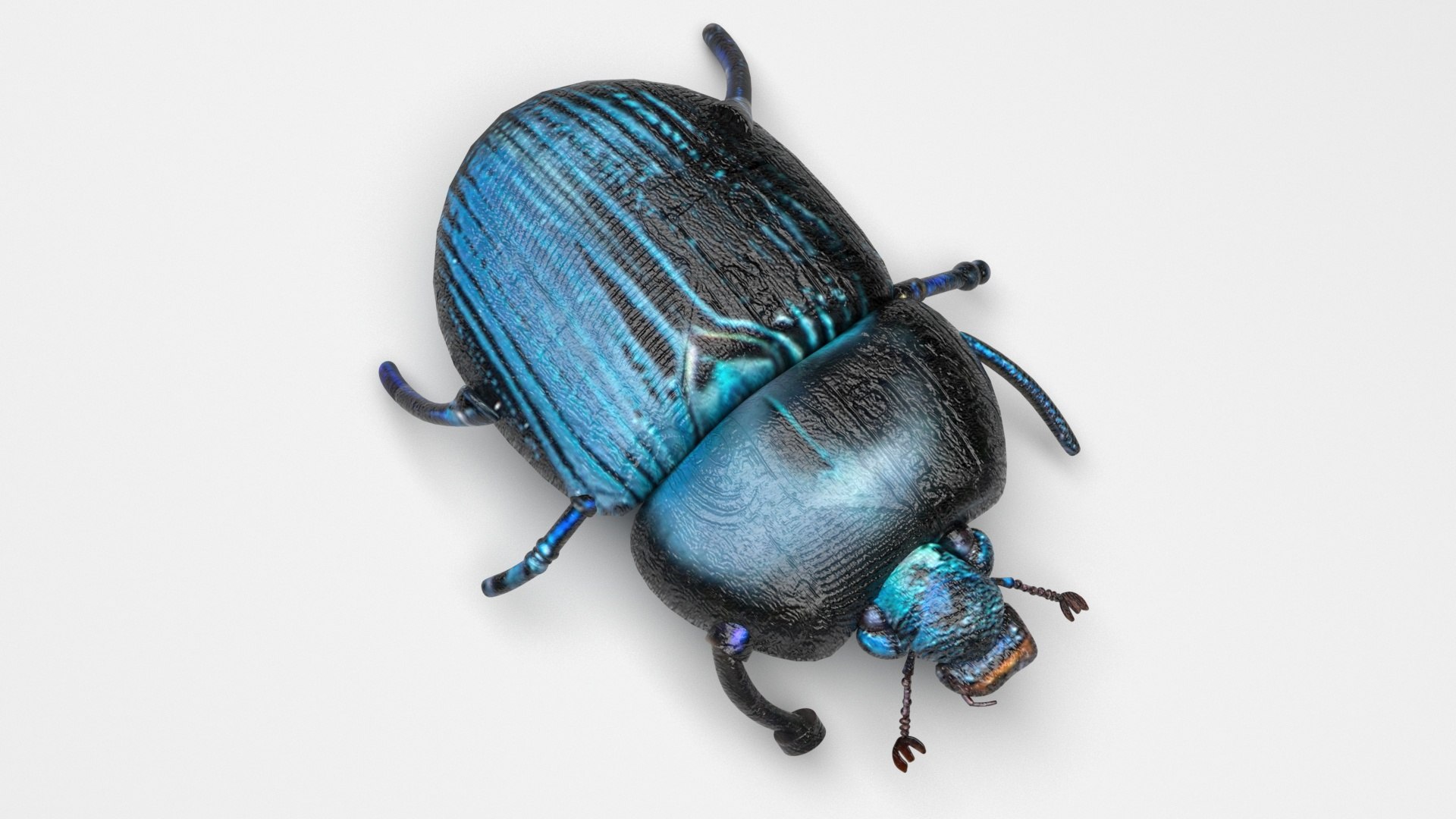 Beetle model https://p.turbosquid.com/ts-thumb/py/CrDHQI/v8/beetlenew4/jpg/1716316397/1920x1080/fit_q87/73d51d342bc492c5378955c712bac823fccb3c00/beetlenew4.jpg