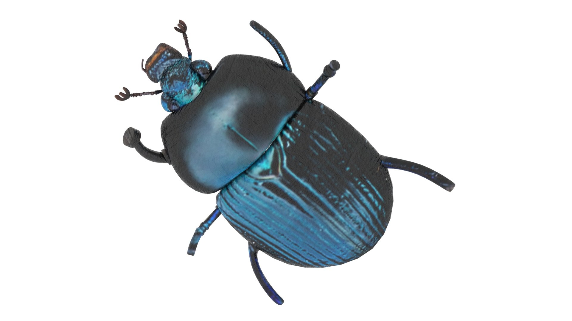 Beetle model https://p.turbosquid.com/ts-thumb/py/CrDHQI/zH/beetlenew15/jpg/1716316390/1920x1080/fit_q87/4d4d877fc80862b4a4d46dcc4737d7a08331e011/beetlenew15.jpg