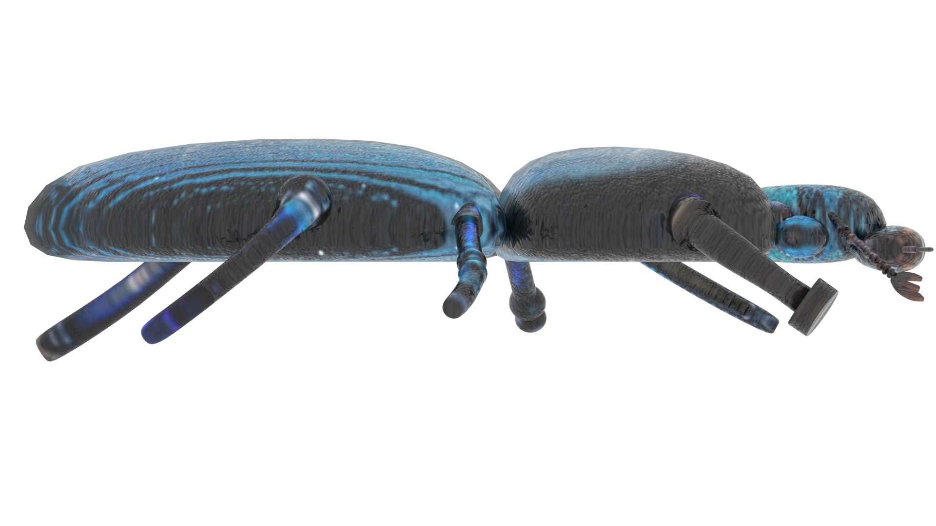 Beetle model https://p.turbosquid.com/ts-thumb/py/CrDHQI/zP/beetlenew20/jpg/1716316387/1920x1080/fit_q87/b04c55e8dfccd9557f460d8e1761905cfe01409b/beetlenew20.jpg