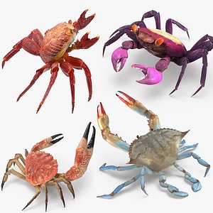 3D rigged crabs