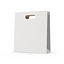 White Paper Bag 8 3D