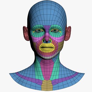 base mesh human head