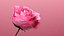 3d Rose Animated Rose Bloom