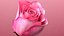 3d Rose Animated Rose Bloom