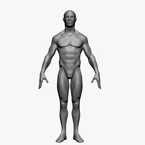 3D Male Body Form A model