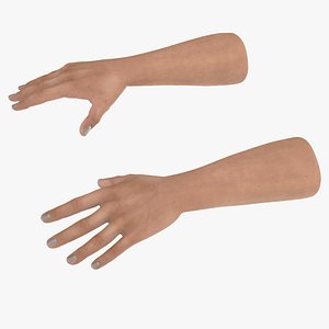 3D Man Hands Rigged
