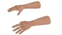 Man Hands Rigged