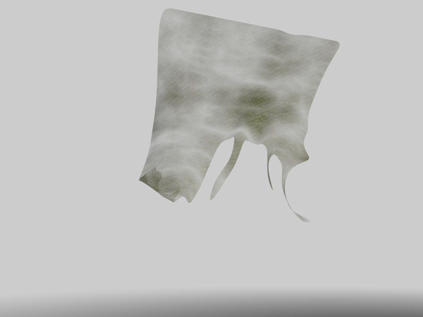 torn fabric flag drapeau 3D https://p.turbosquid.com/ts-thumb/py/ZJyjRf/BHJFc5g9/telarota0034/jpg/1548379120/1920x1080/fit_q87/177ca8e2a9c27e38ea232b504f79d0c77e16d9d8/telarota0034.jpg