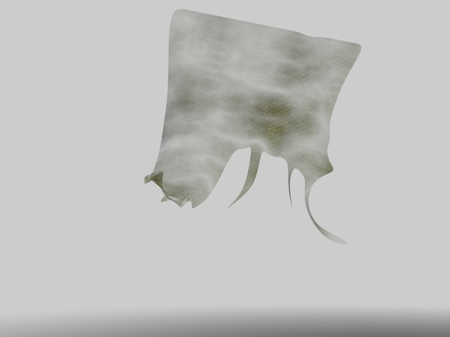 torn fabric flag drapeau 3D https://p.turbosquid.com/ts-thumb/py/ZJyjRf/HrD7mNhi/telarota0032/jpg/1548379120/1920x1080/fit_q87/c97654dba34475fdf97b0034c0ee70b62a35bee8/telarota0032.jpg