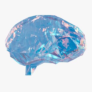 Brain Crystal