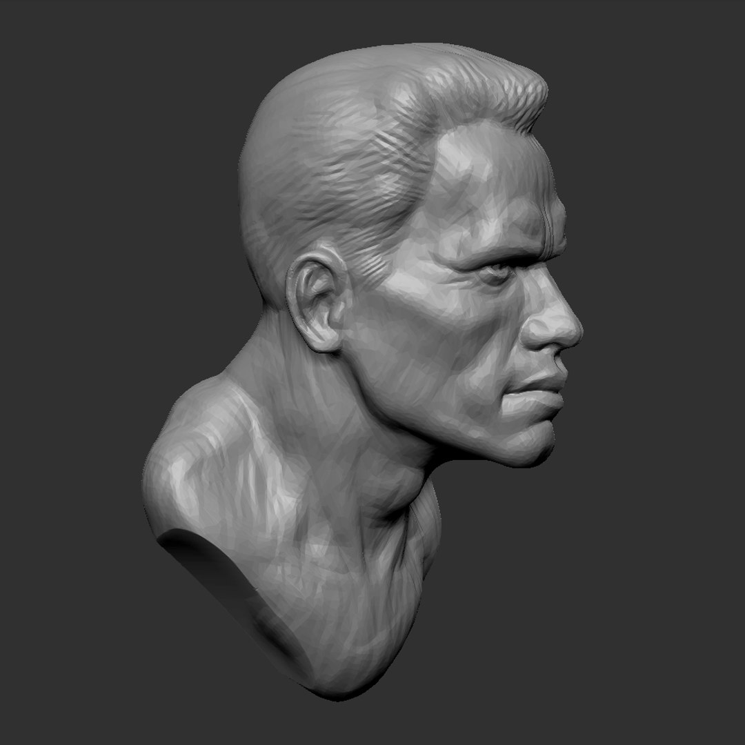 sculpture arnold schwarzenegger obj free https://p.turbosquid.com/ts-thumb/py/gQOZHz/jQbaCT7v/3/jpg/1413117342/1920x1080/fit_q87/5b9badd578addffa955b057363514cb66754358d/3.jpg