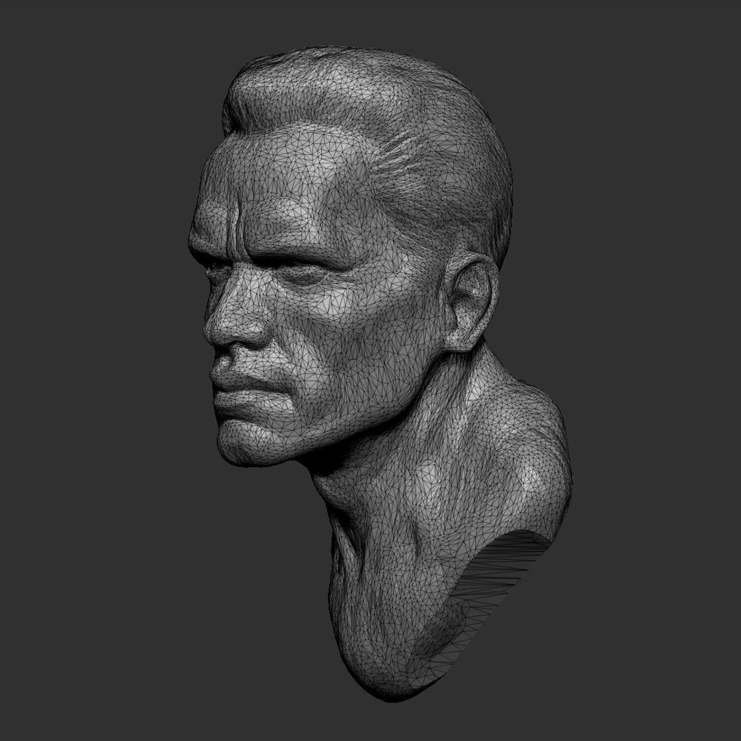 sculpture arnold schwarzenegger obj free https://p.turbosquid.com/ts-thumb/py/gQOZHz/p805h1Wl/4/jpg/1413117342/1920x1080/fit_q87/de7240de8fae1f21278ed107c4e358dbcbb998ee/4.jpg