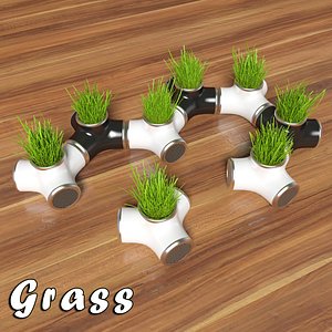 Decorative grass in a pot (2)