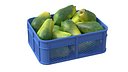 Papaya Plastic Crate