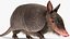 3D Armadillo in Walking Pose Black Fur for Cinema 4D model