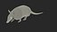3D Armadillo in Walking Pose Black Fur for Cinema 4D model