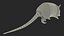 3D Armadillo in Walking Pose Black Fur for Cinema 4D model