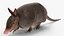 3D Armadillo in Walking Pose Black Fur for Cinema 4D model