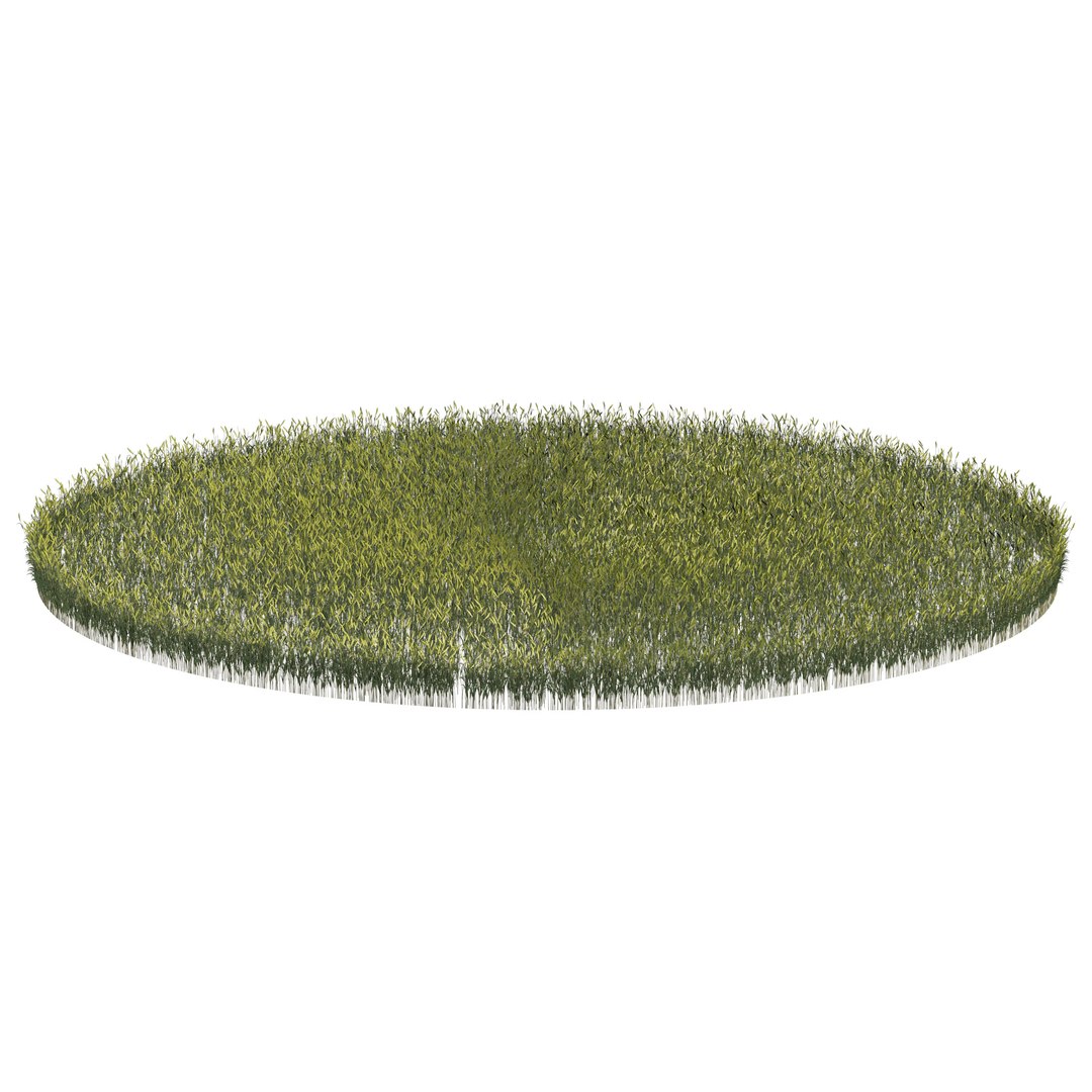 Young Wheat Field model https://p.turbosquid.com/ts-thumb/py/rfglB4/5n/04pp/jpg/1671064005/1920x1080/fit_q87/a19cc9cab91567c00c4fbc852428b792d4712a7a/04pp.jpg