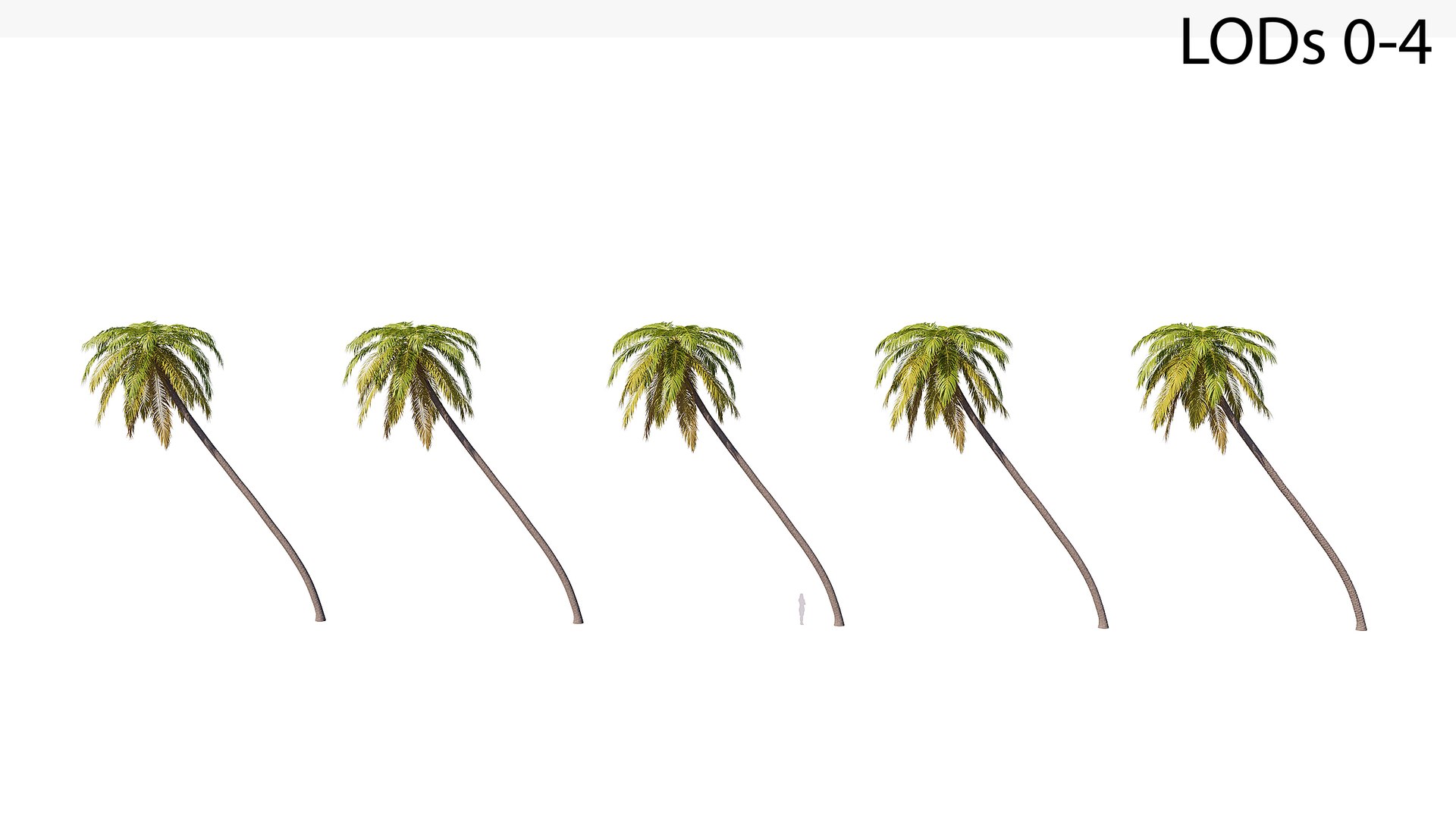 3D Palm 09 model https://p.turbosquid.com/ts-thumb/py/s6NQkJ/81/render_/jpg/1754386394/1920x1080/fit_q87/2ad5b69dbb7bdb2a6366de0927862f7cf82f9c7e/render_.jpg
