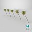3D Palm 09 model
