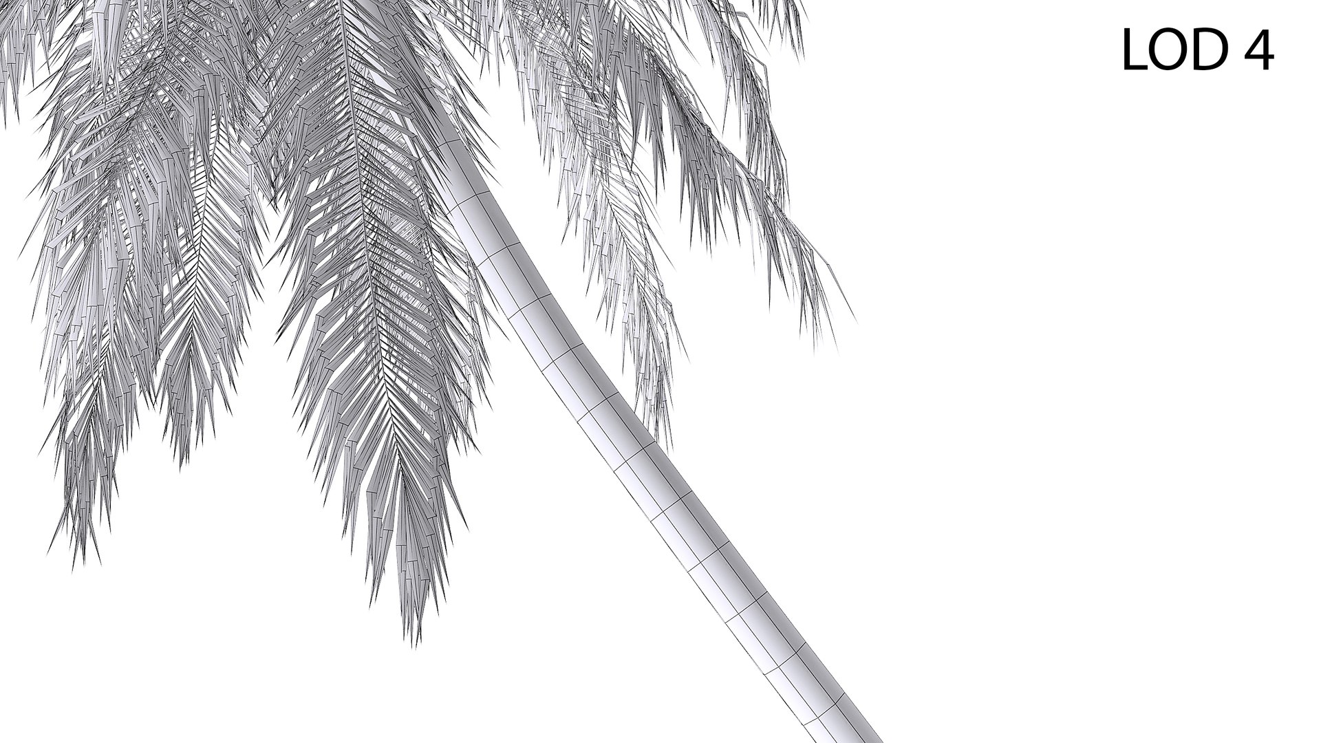 3D Palm 09 model https://p.turbosquid.com/ts-thumb/py/s6NQkJ/Ql/wire_lod4/jpg/1754386272/1920x1080/fit_q87/46ae59f06e4a5ee81ddc51aed719fac01171c7a0/wire_lod4.jpg
