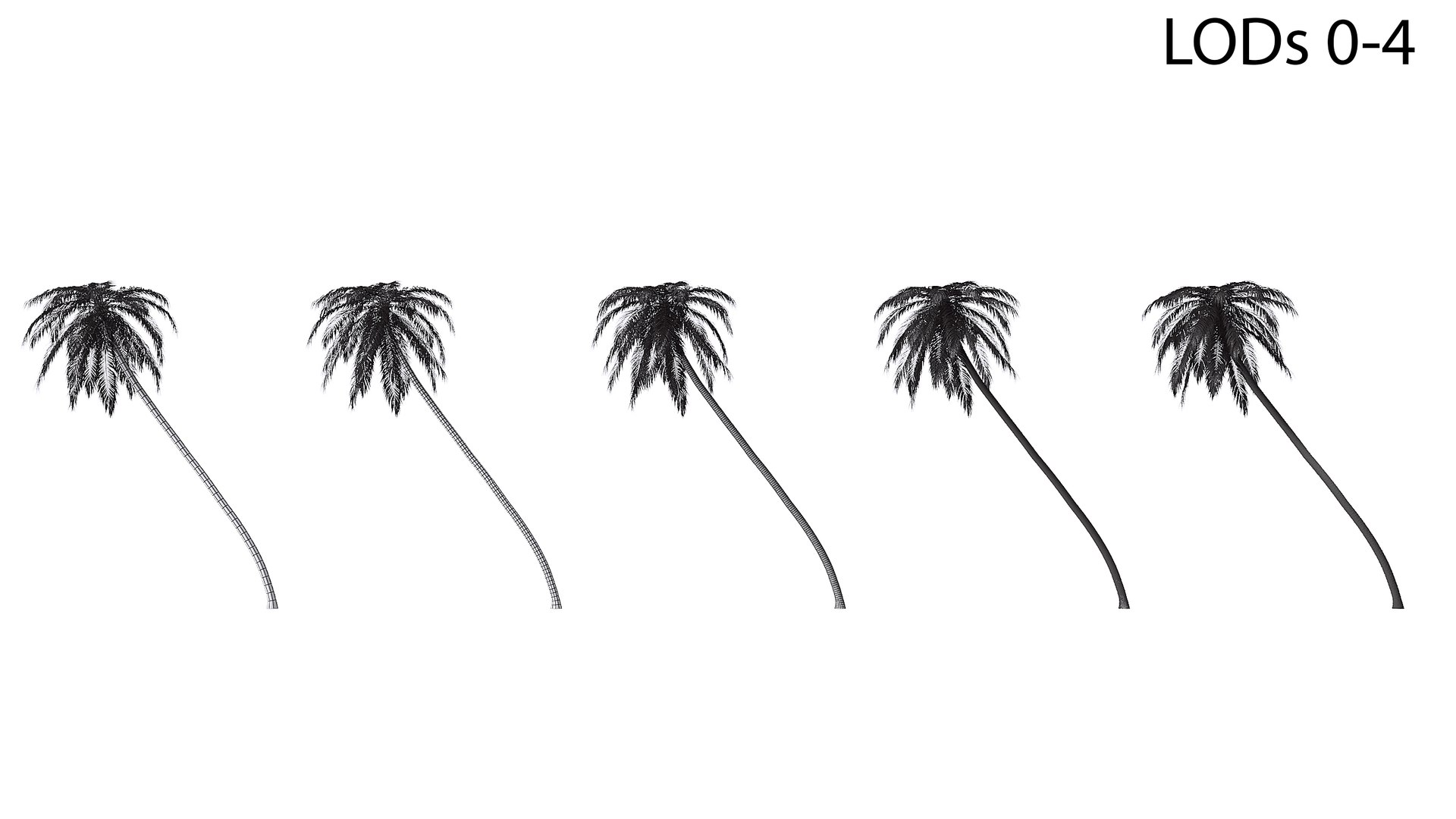 3D Palm 09 model https://p.turbosquid.com/ts-thumb/py/s6NQkJ/a9/wire_lod04/jpg/1754386268/1920x1080/fit_q87/c7e1ab7dffb0d766aacbdc04557c366f038624d5/wire_lod04.jpg