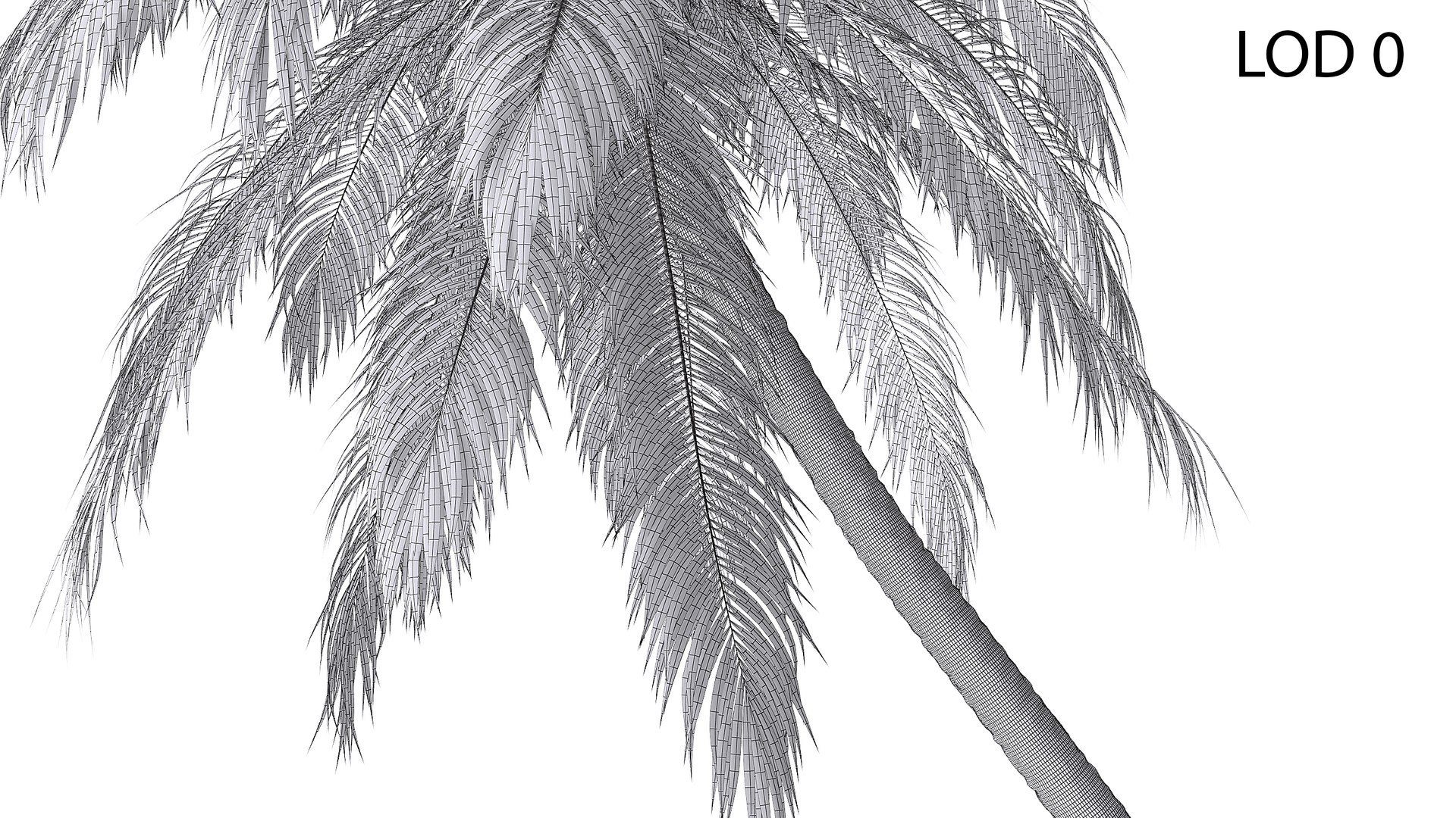 3D Palm 09 model https://p.turbosquid.com/ts-thumb/py/s6NQkJ/h7/wire_lod0/jpg/1754386265/1920x1080/fit_q87/18dee51e92a54a990af6ee0a6421d9d0470cddc7/wire_lod0.jpg