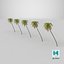 3D Palm 09 model