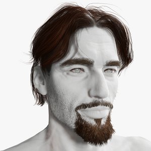 Realistic Hair Beard brows mustache p4 3D model