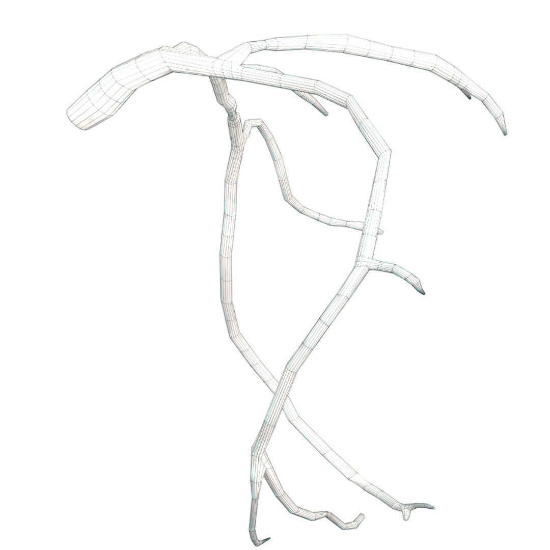 heart artery model https://p.turbosquid.com/ts-thumb/py/zbMgEx/nx89bT40/img3/png/1578933891/1920x1080/fit_q87/732c3e38d570385162aaf177cde96f7ab16dd32f/img3.jpg