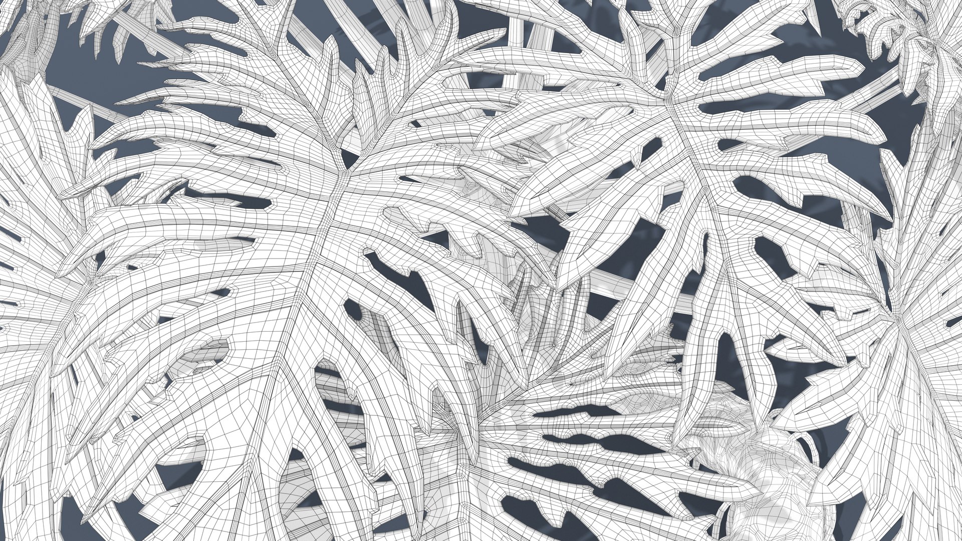 Philodendron Selloanum 3D model https://p.turbosquid.com/ts-thumb/pz/4TZRFw/22/philodendron_selloanum_043_wireframe/png/1682318705/1920x1080/fit_q87/a1d82bc88c156d276ab0bba25e150f88a604024d/philodendron_selloanum_043_wireframe.jpg