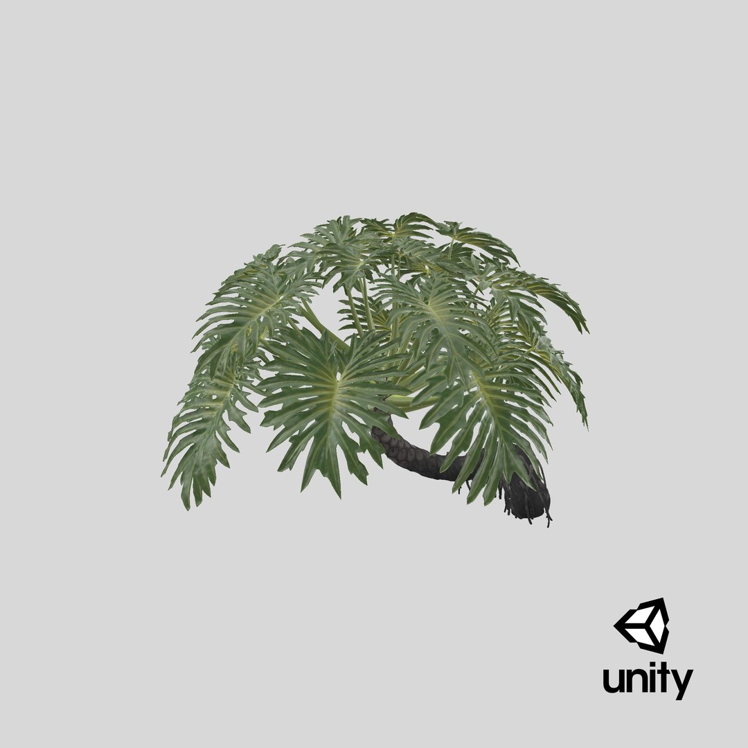 Philodendron Selloanum 3D model https://p.turbosquid.com/ts-thumb/pz/4TZRFw/Ky/unity/png/1684646080/1920x1080/fit_q87/03addf6ca2ffa6cd3e9e614eb9e345cd7dc87f4a/unity.jpg