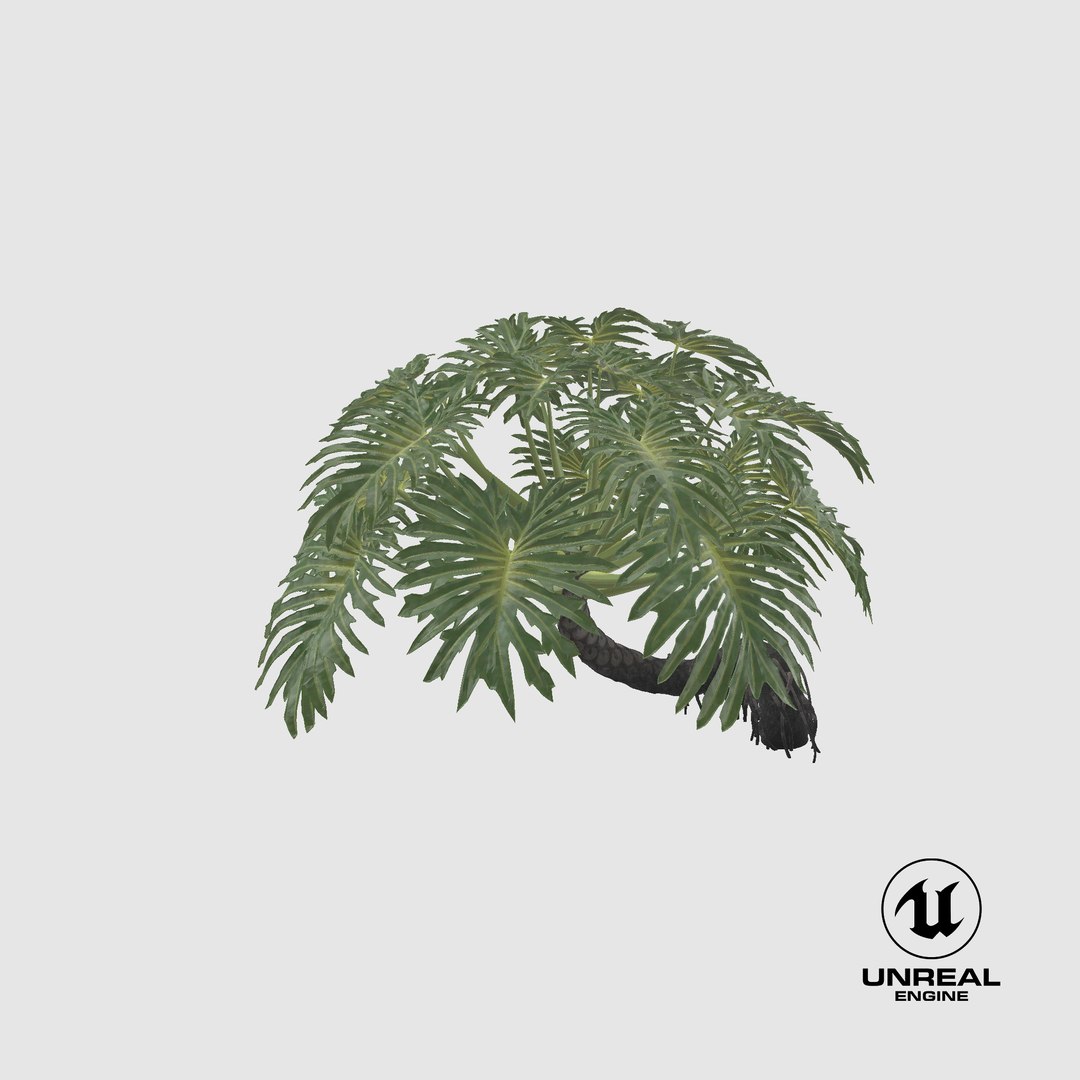 Philodendron Selloanum 3D model https://p.turbosquid.com/ts-thumb/pz/4TZRFw/RY/unreal/png/1684646084/1920x1080/fit_q87/fe07b46e9bf63bd8dd8af2d10358ff95d3dec14b/unreal.jpg