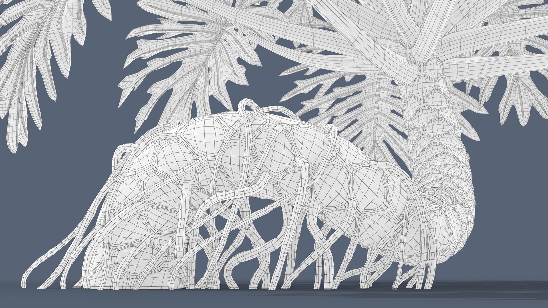 Philodendron Selloanum 3D model https://p.turbosquid.com/ts-thumb/pz/4TZRFw/gH/philodendron_selloanum_243_wireframe/png/1682319294/1920x1080/fit_q87/9e5b9b7db60c1282178c464cffc4acd7b68c7885/philodendron_selloanum_243_wireframe.jpg