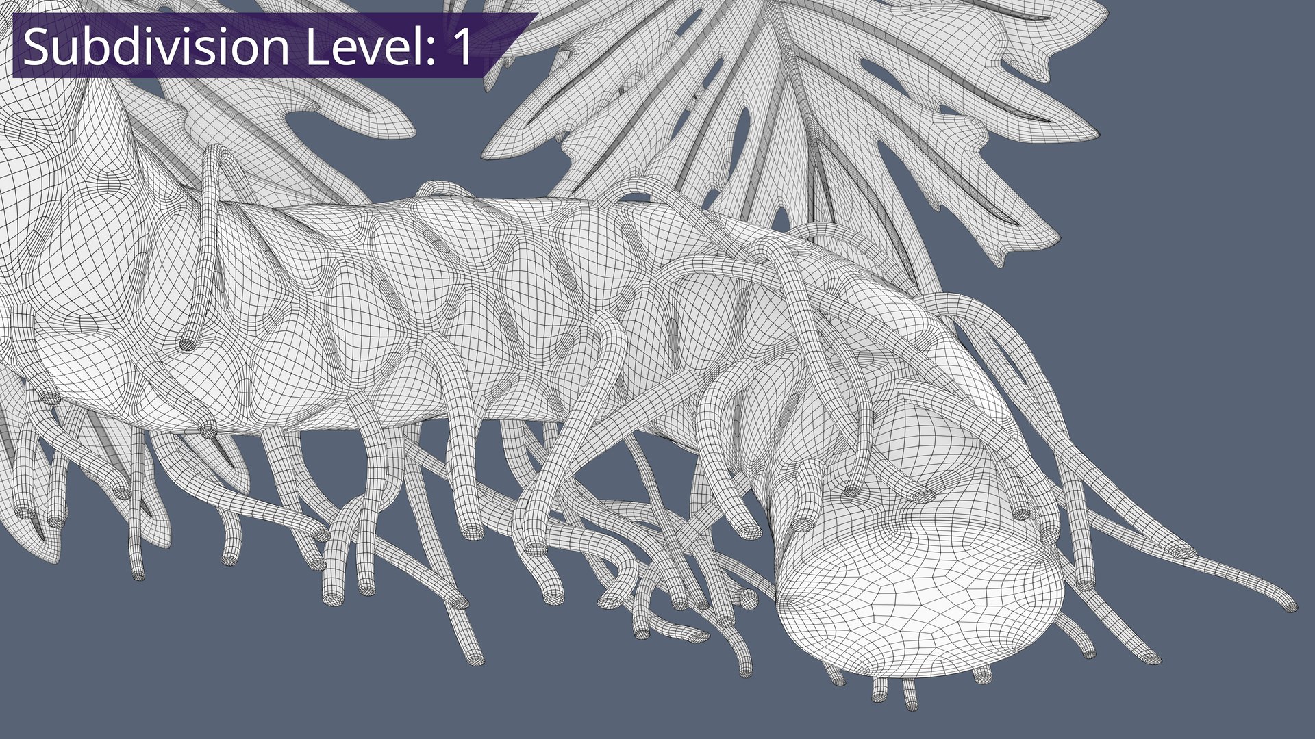 Philodendron Selloanum 3D model https://p.turbosquid.com/ts-thumb/pz/4TZRFw/hm/philodendron_selloanum_432_subd/png/1682319502/1920x1080/fit_q87/c85ea5e6ee445e8bee1b6df2e25d98ad8ad928de/philodendron_selloanum_432_subd.jpg