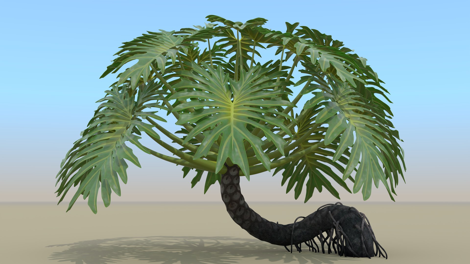 Philodendron Selloanum 3D model https://p.turbosquid.com/ts-thumb/pz/4TZRFw/iW/philodendron_selloanum_002/png/1682318650/1920x1080/fit_q87/3218c4bfc97d4f68f38c9e4b17f8c11f695e729b/philodendron_selloanum_002.jpg