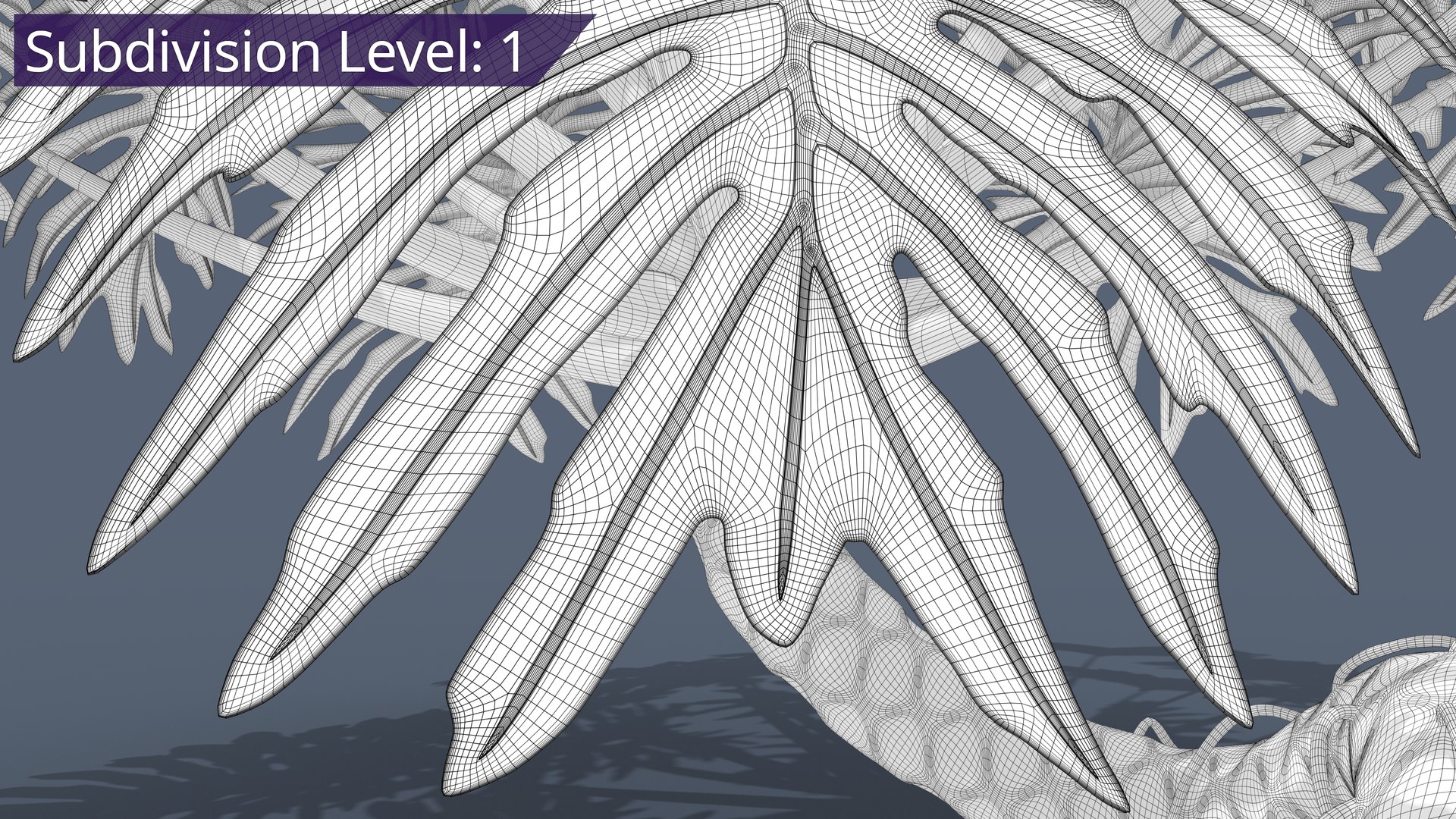 Philodendron Selloanum 3D model https://p.turbosquid.com/ts-thumb/pz/4TZRFw/kH/philodendron_selloanum_422_subd/png/1682319501/1920x1080/fit_q87/89cfabf4a7f6eda4fd35b36888f7f14385231e9a/philodendron_selloanum_422_subd.jpg